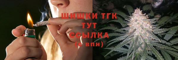 тгк Козельск