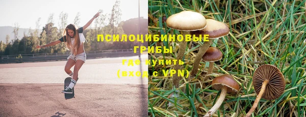 Альфа ПВП Козловка
