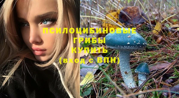 Альфа ПВП Козловка