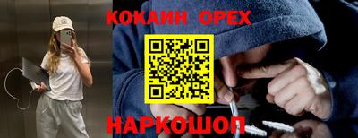 стафф Кингисепп