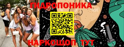 шишки Абинск