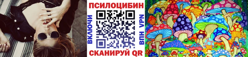 Псилоцибиновые грибы Psilocybe  цена наркотик  Усть-Илимск 