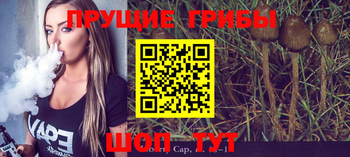 Псилоцибиновые грибы прущие грибы  Галлюциногенные грибы Psilocybine cubensis  Усть-Илимск 