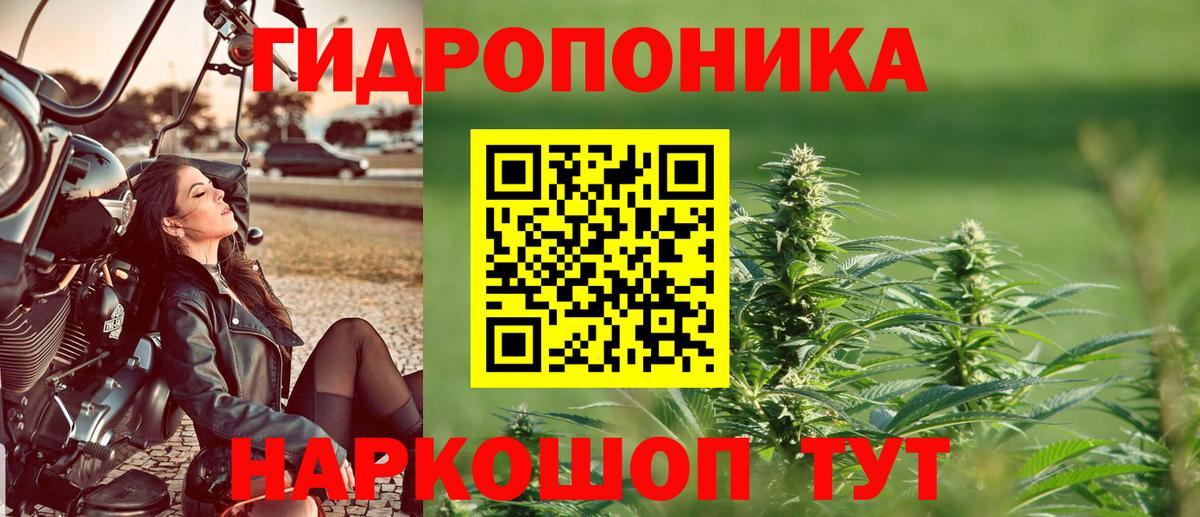 Бошки Шишки ГИДРОПОН Усть-Илимск